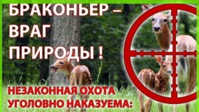 Кто сказал, что мужчины не могут вопить как девчонки? Олега Конюка слышал весь Новосибирск