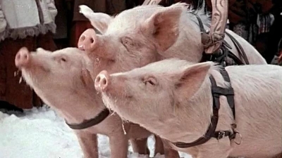 Вывезут ли свиньи клан Сумароковых?