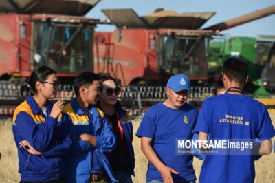 «Страна обеспечит себя пшеницей и картофелем»: в Монголии продолжается сбор урожая