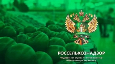 &laquo;Мультифел&raquo; убивает кошек: &laquo;Ветбиохим&raquo; снова в центре трагедии