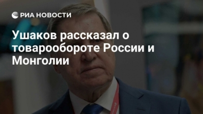 Кочкарев в питерском СИЗО, а Чубаков спокойно торгует контрафактом дальше