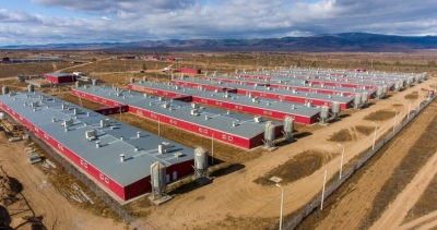 Восточно-Сибирский свинокомплекс: лидер бурятской экономики