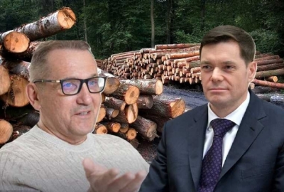 Лоббистский лес: кто в Госдуме защищает интересы Мордашова и Чуркина